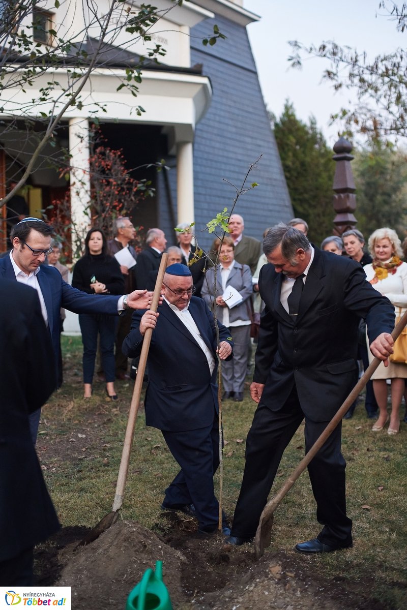 Közös gyökereink és a megváltás fénye - 2019