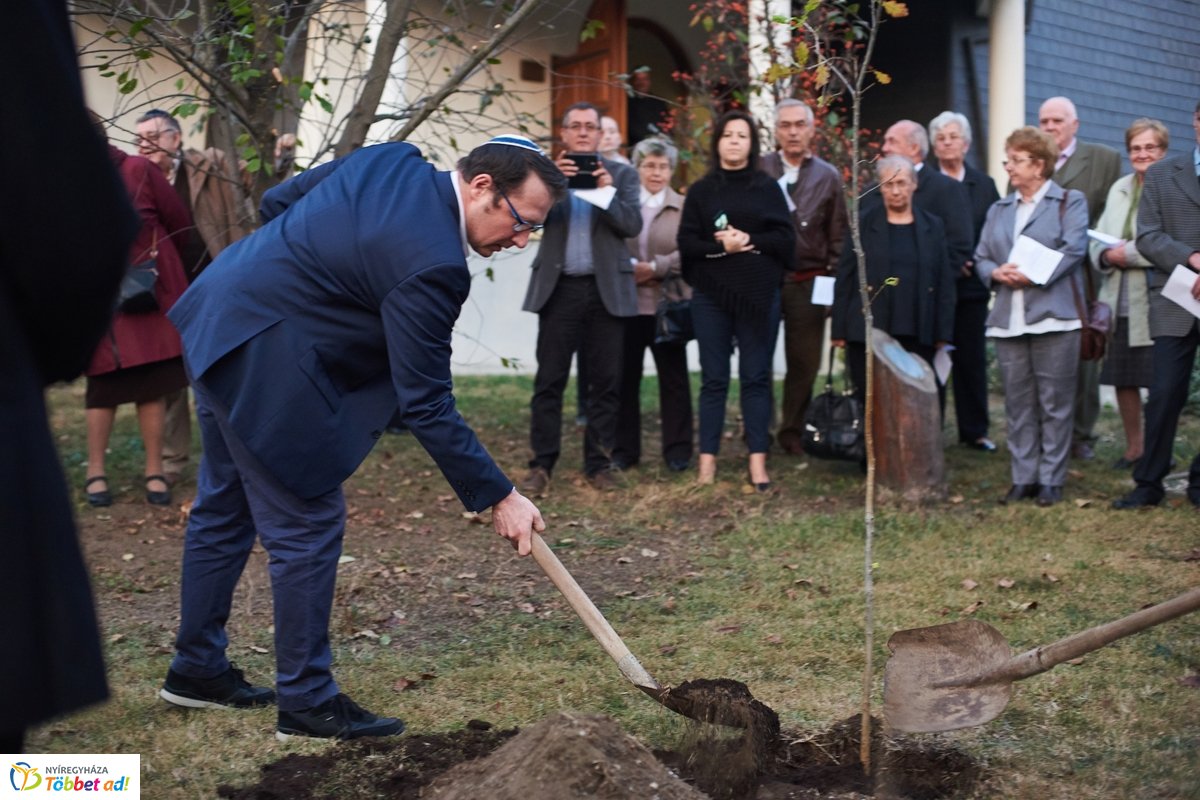 Közös gyökereink és a megváltás fénye - 2019