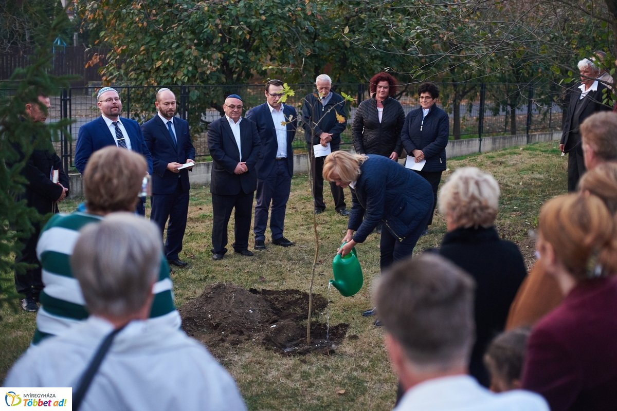 Közös gyökereink és a megváltás fénye - 2019