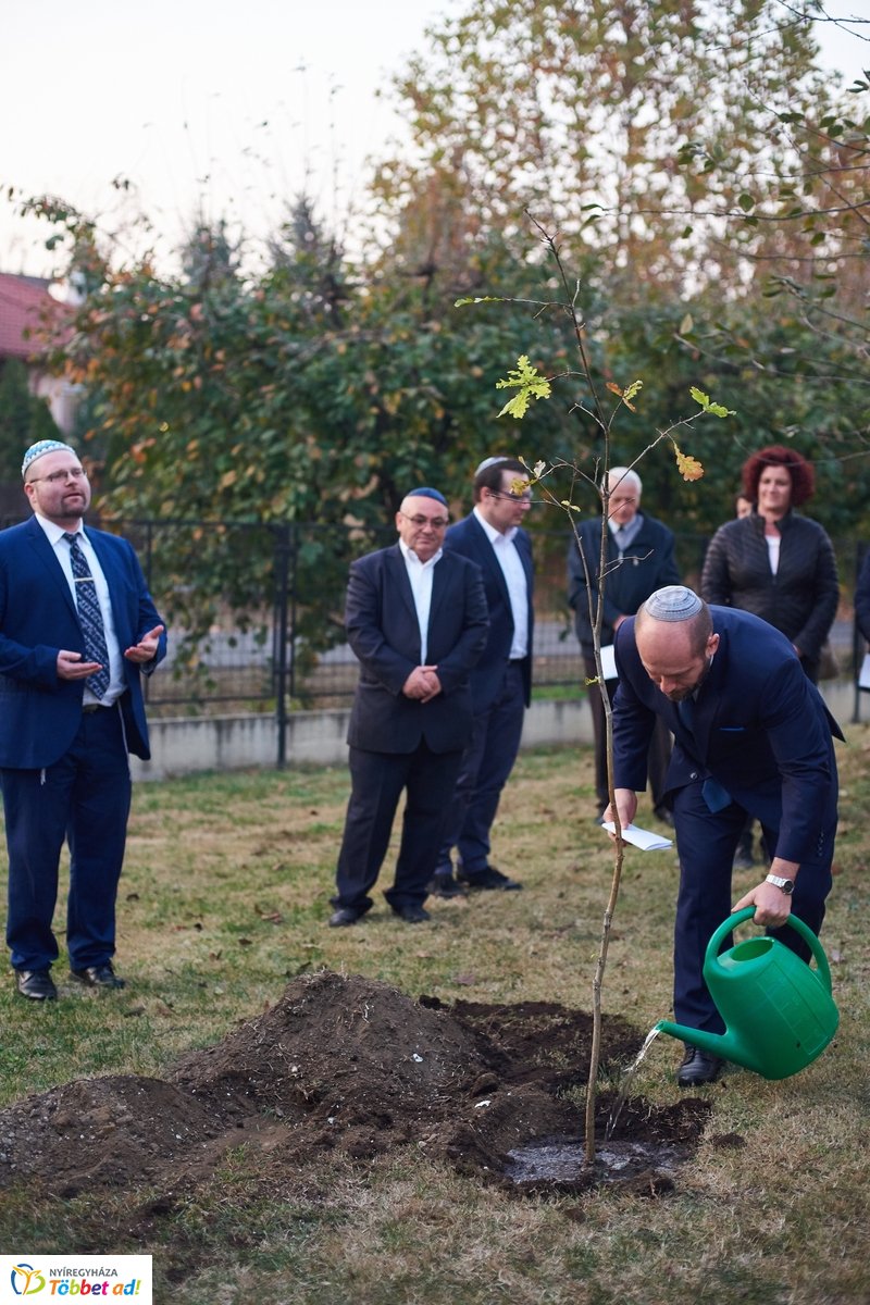 Közös gyökereink és a megváltás fénye - 2019