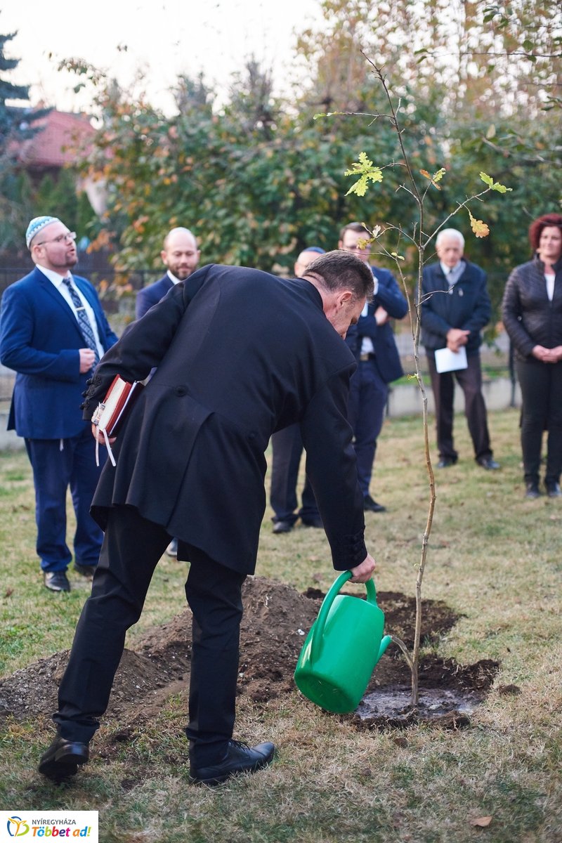 Közös gyökereink és a megváltás fénye - 2019