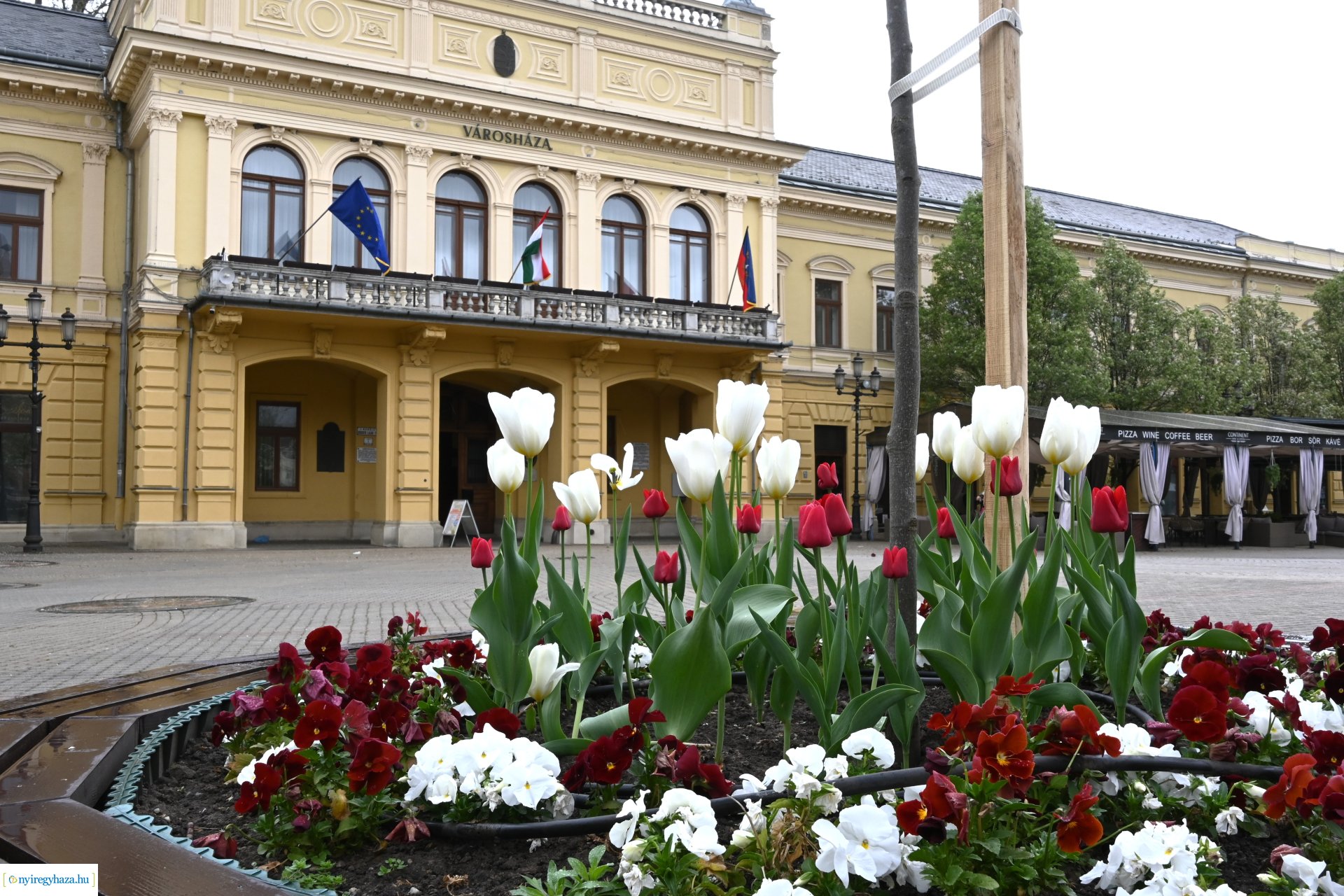 Közös ügyünk a zöldenergia - sajtótájékoztató a Városházán