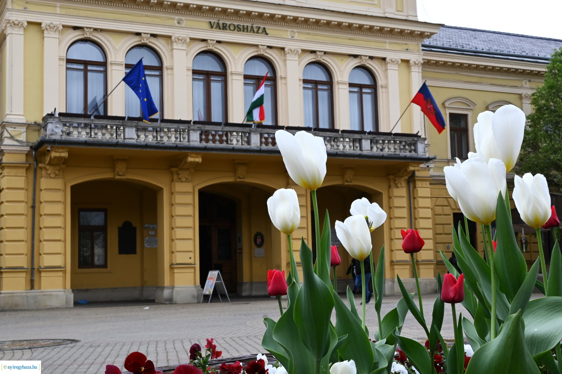 Közös ügyünk a zöldenergia - sajtótájékoztató a Városházán
