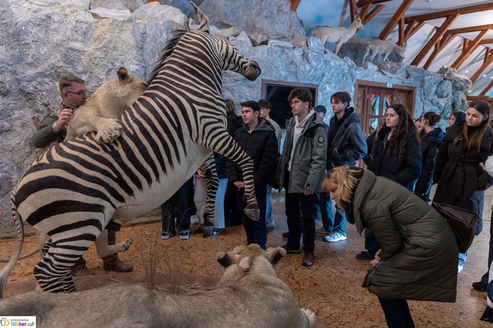 Közösen építettek üzleti terveket nyíregyházi és nagykárolyi diákok