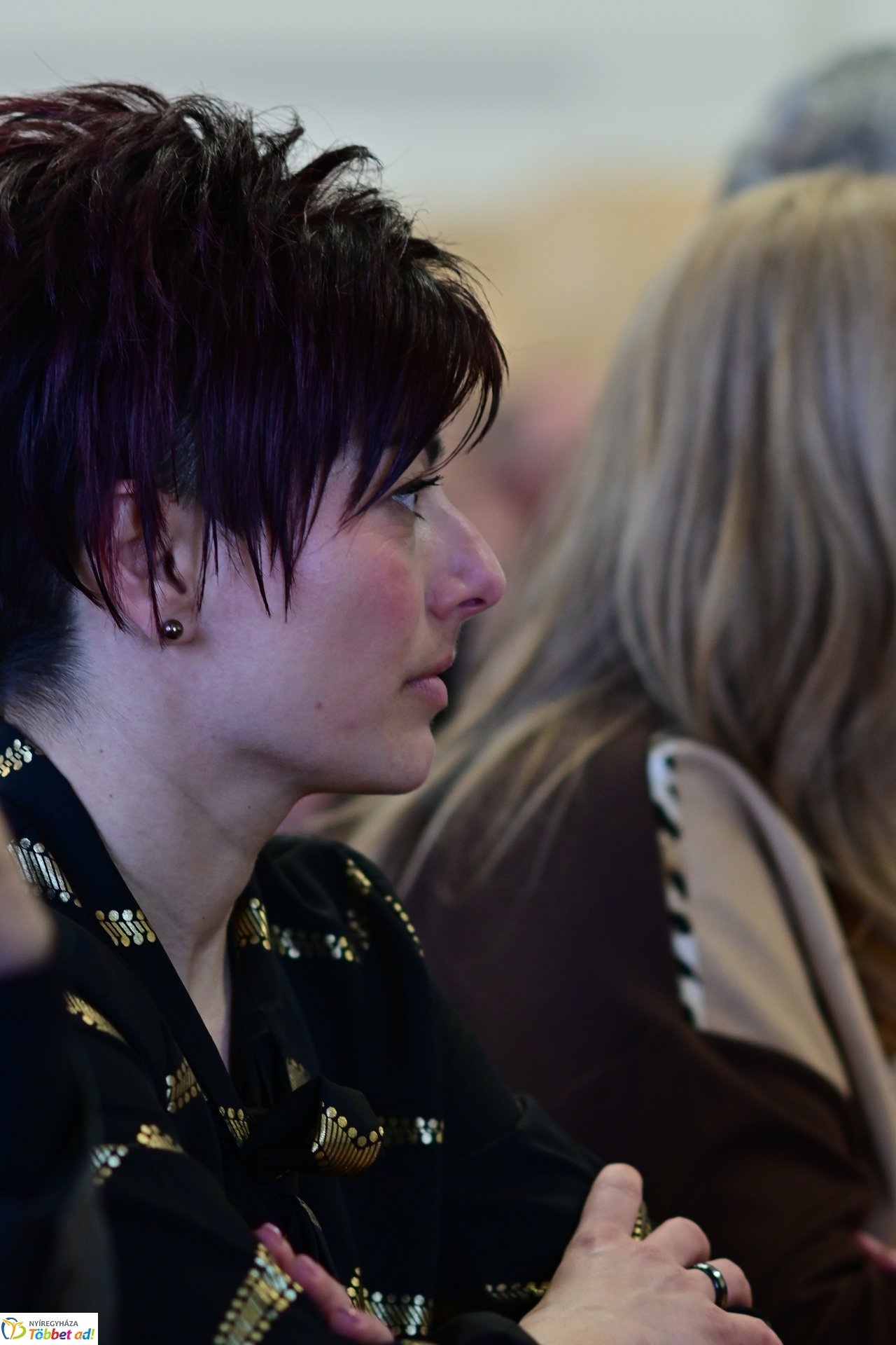 Közösségi Értékvédelmi Konzultáció a Megyeházán