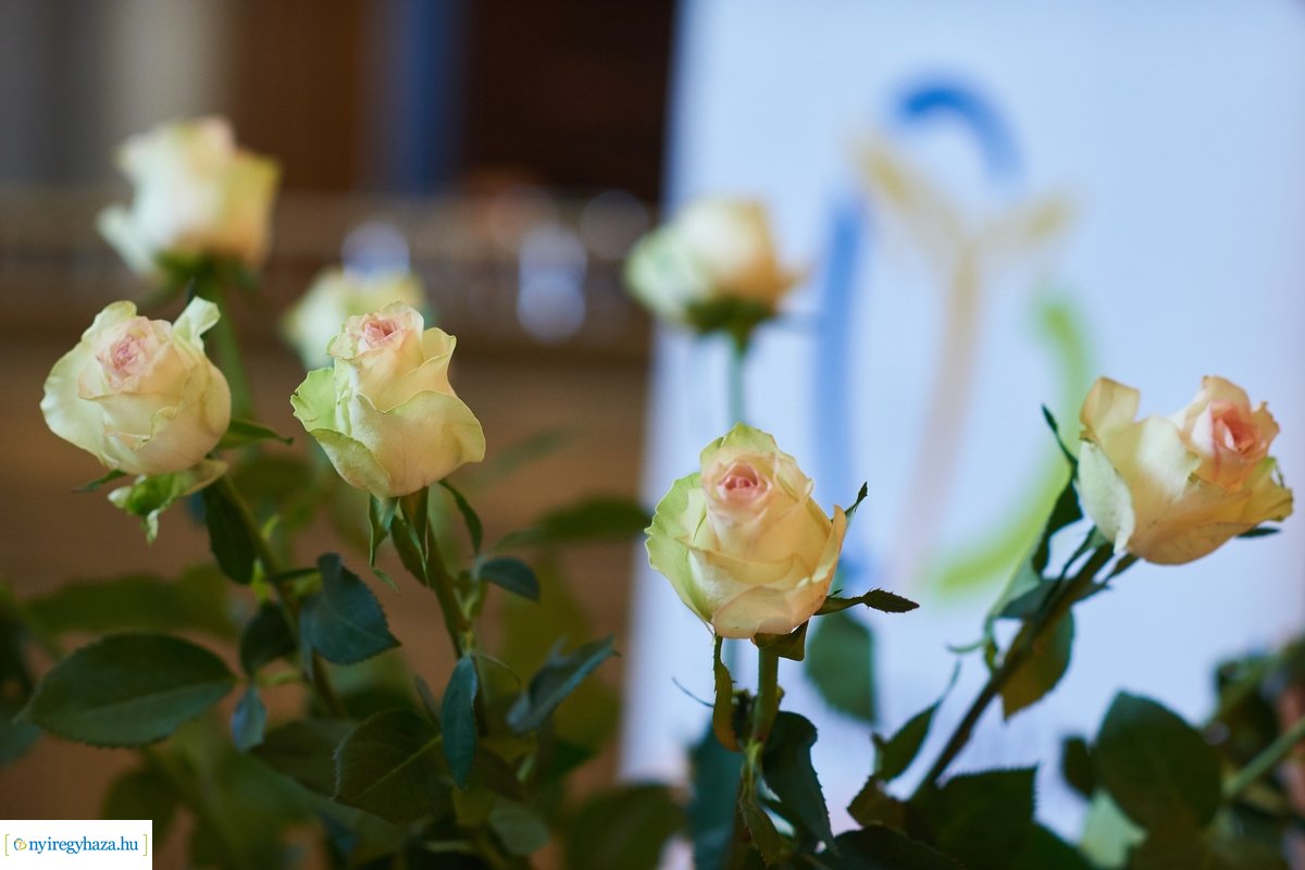 Közszolgálati Tisztviselők Napja 2020