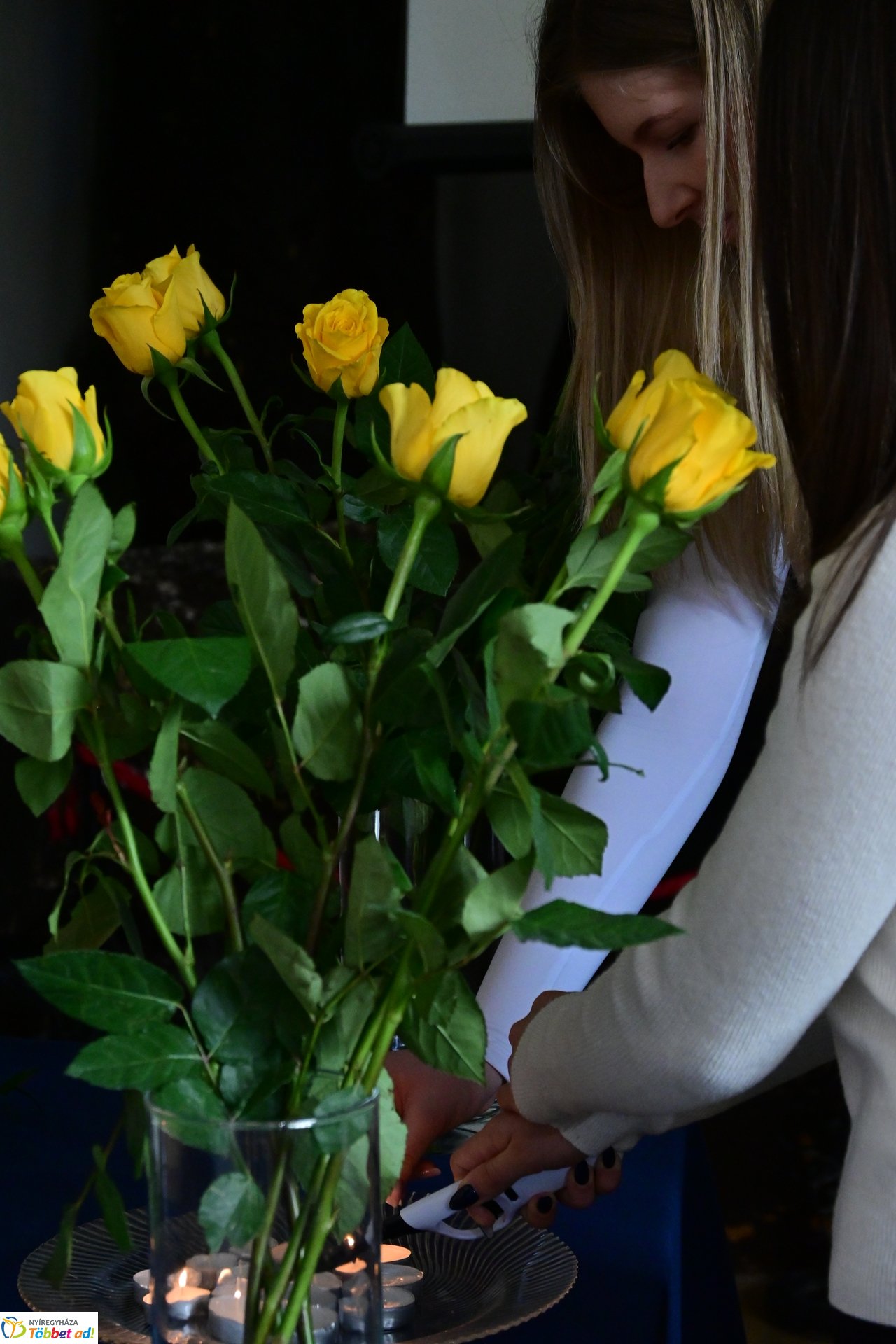 Kulcsár Anitára emlékeztek a Kölcsey Ferenc gimnáziumban - 2025