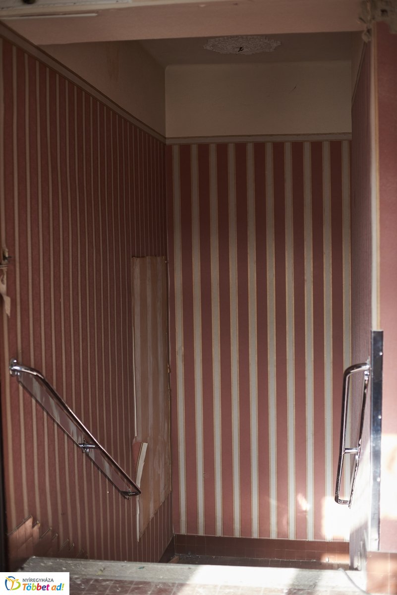 Kulturális negyed - Szindbád beharangozó