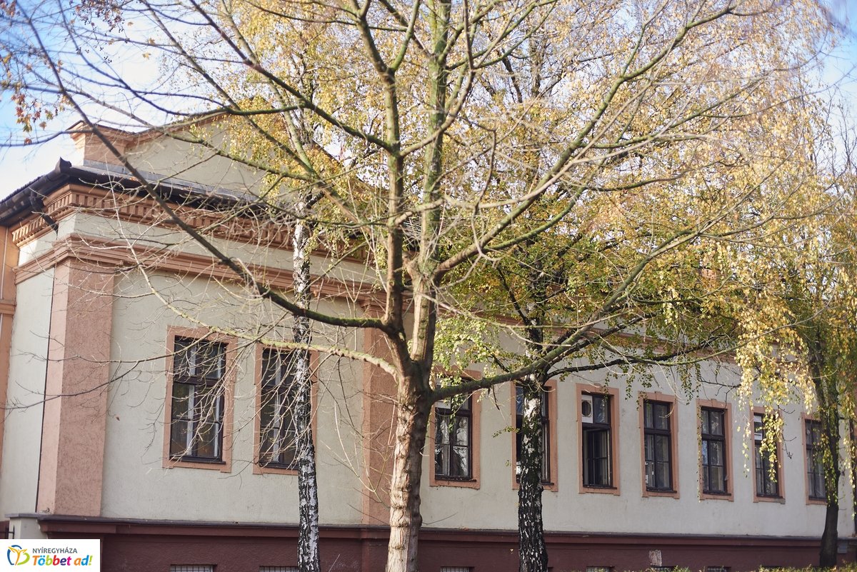 Kulturális negyed - Szindbád beharangozó