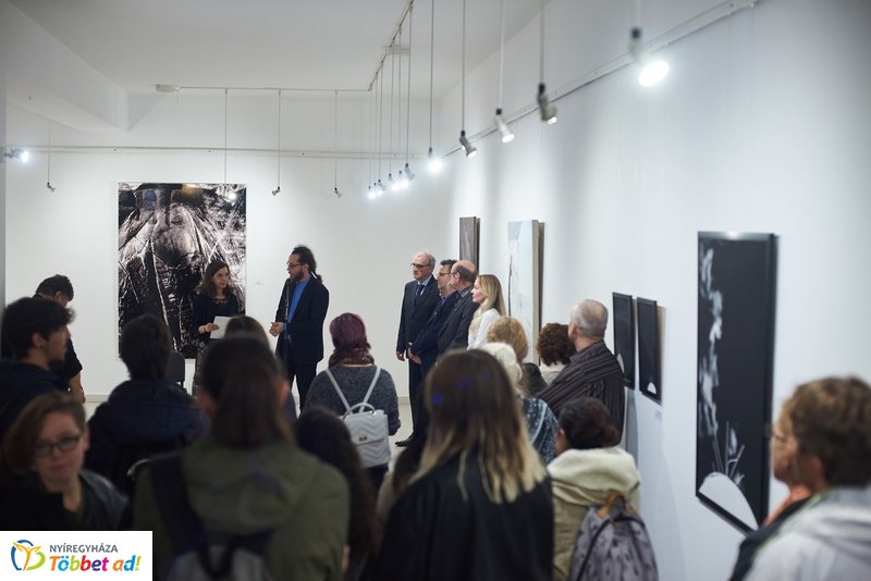 Kunst.Netz.Europa. 2019  - kiállítás megnyitó