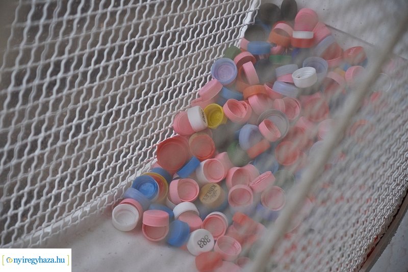 Kupakgyűjtő Nyírszőlősön