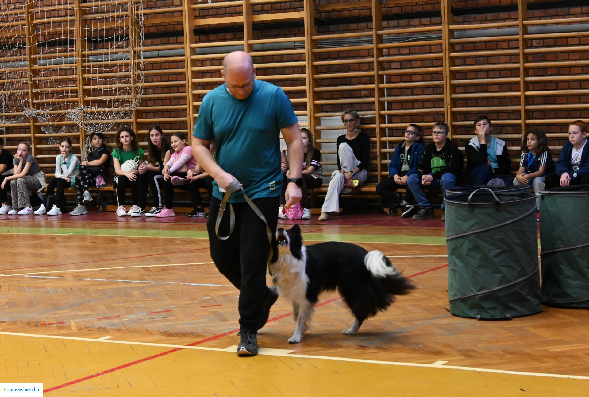 Kutatók éjszakája a Nyíregyházi Egyetem Testnevelési és Sporttudományi Intézetében