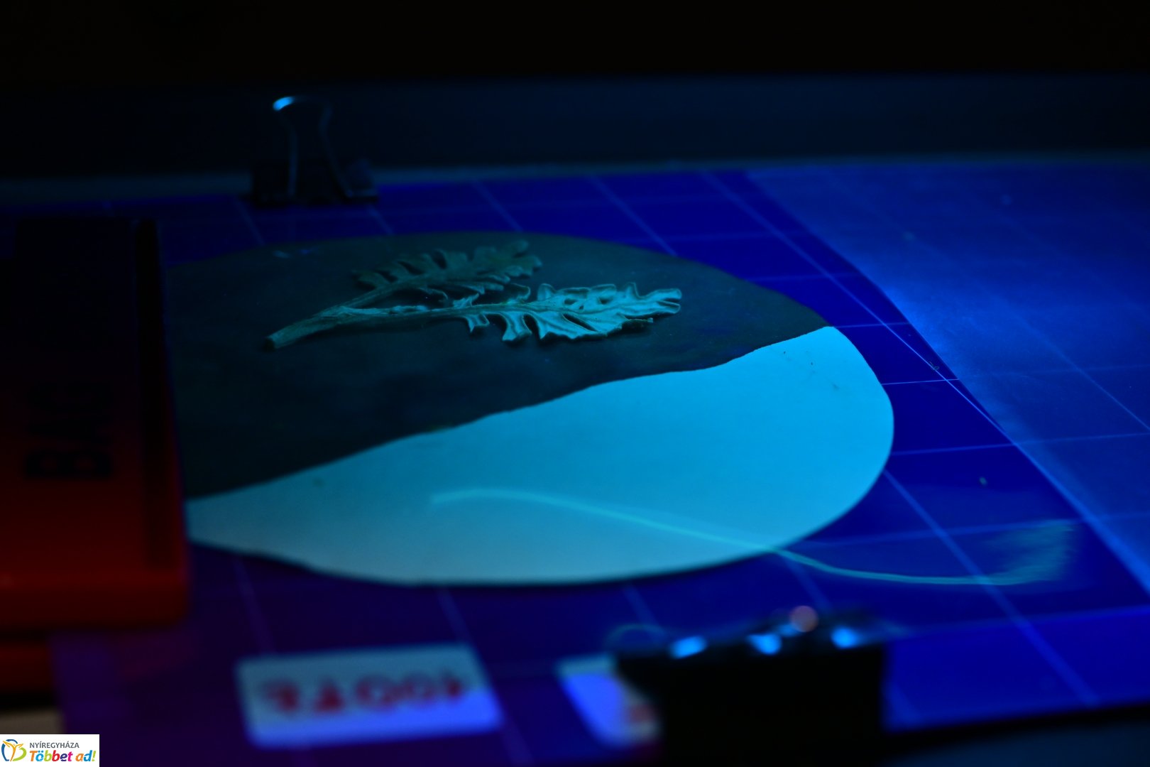 Kutatók Éjszakája az egyetemen 2025 szeptemberében