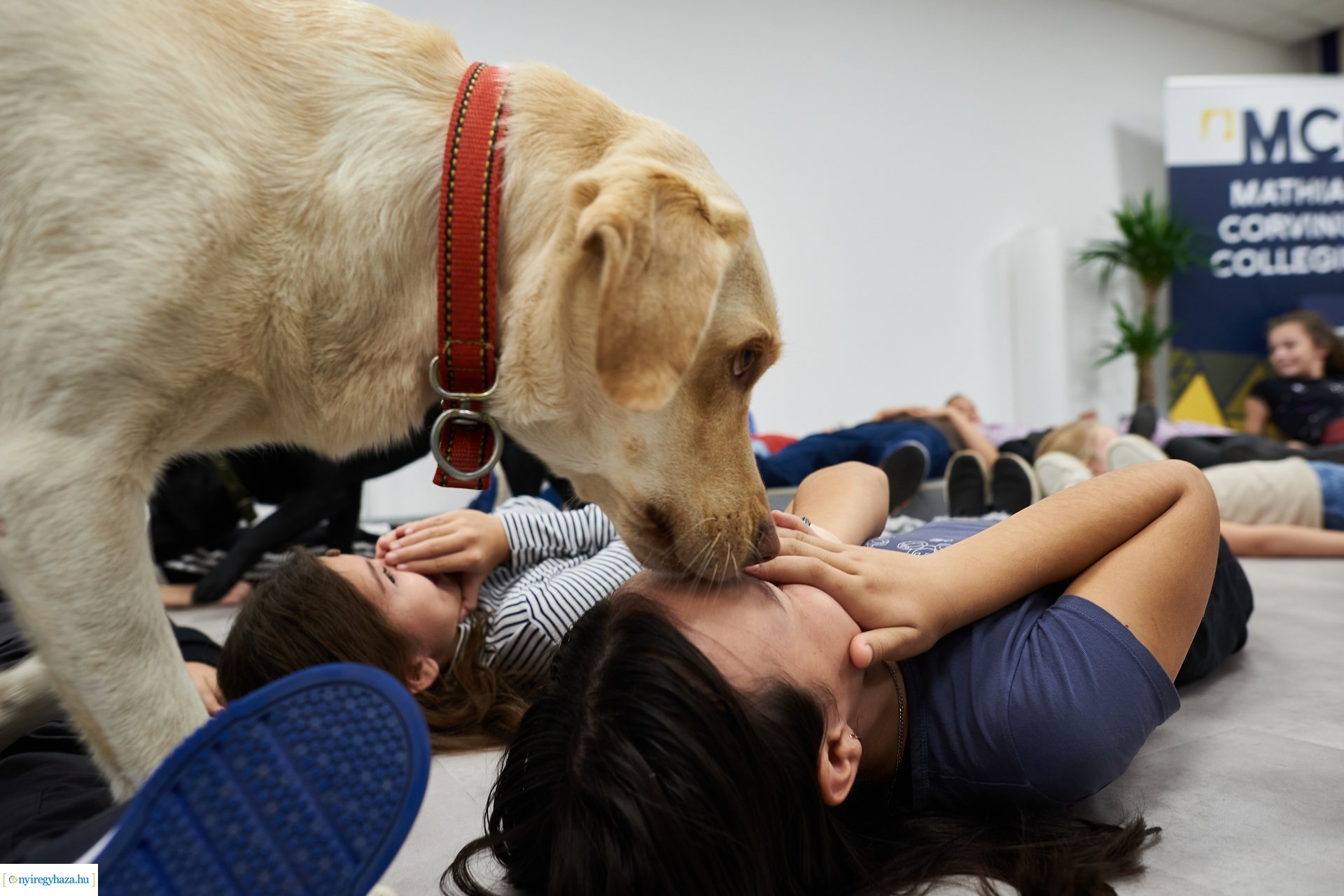 Kutatók Éjszakája az MCC-ben 2024