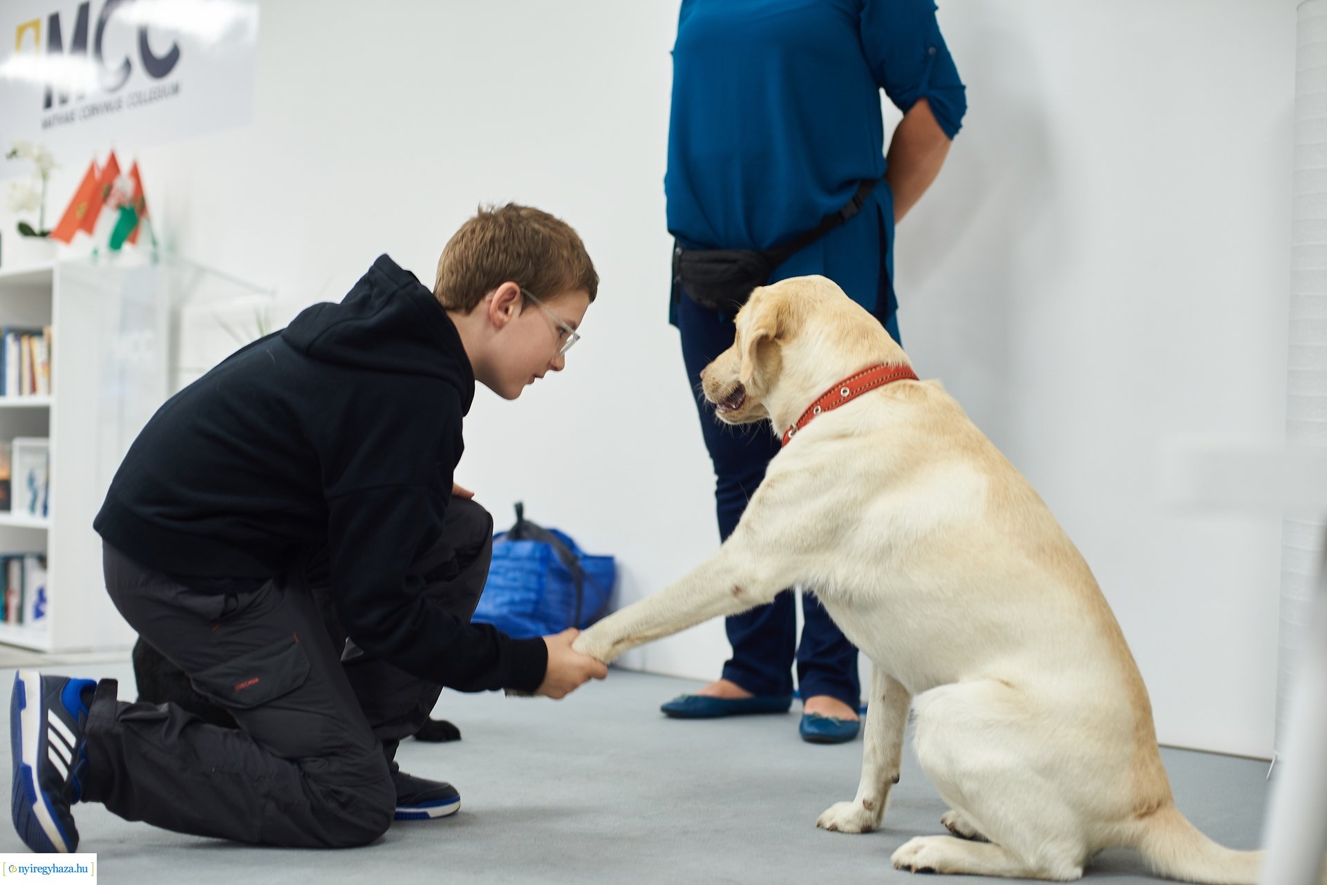 Kutatók Éjszakája az MCC-ben 2024