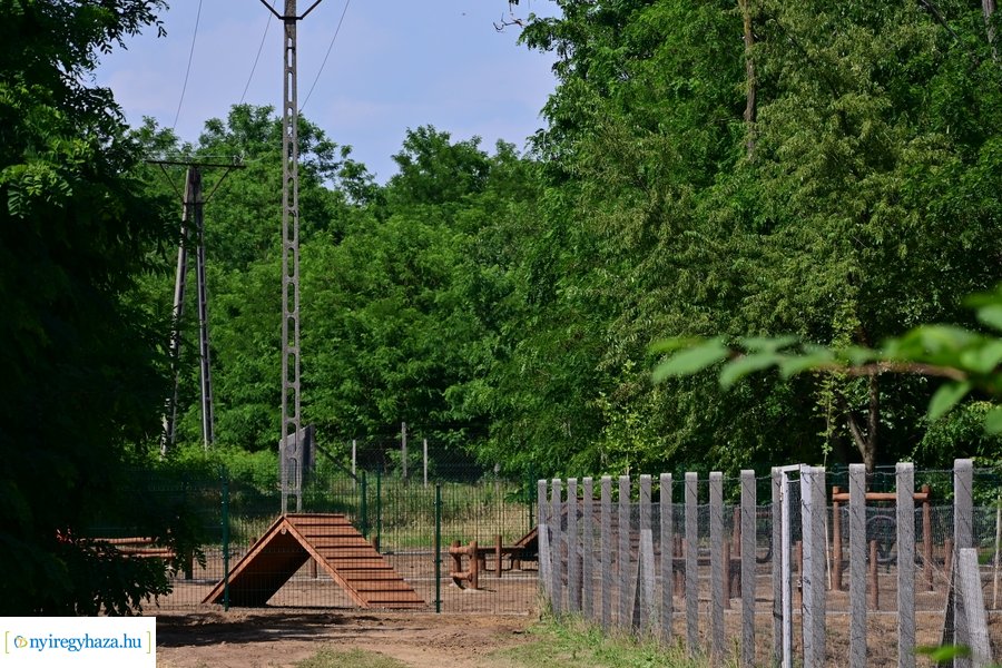 Kutyafuttató a Fürdő utcán