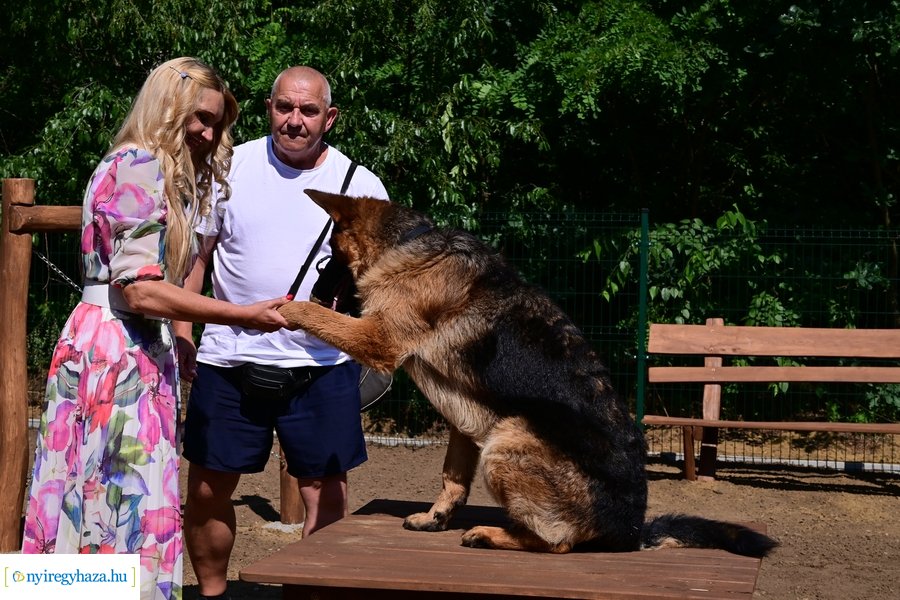 Kutyafuttató a Fürdő utcán