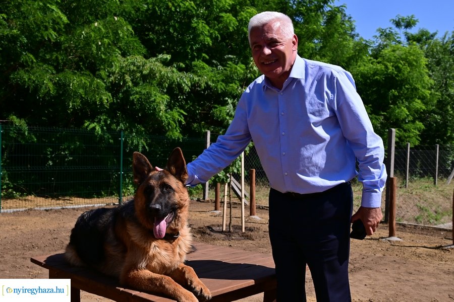 Kutyafuttató a Fürdő utcán