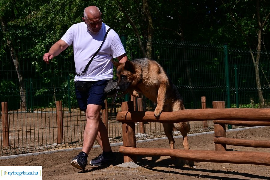 Kutyafuttató a Fürdő utcán