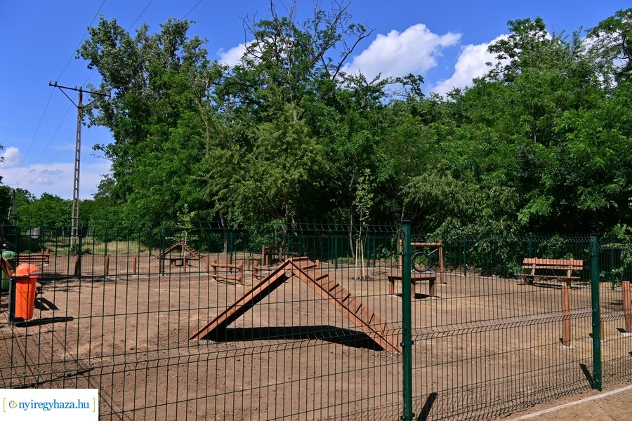 Kutyafuttató a Fürdő utcán