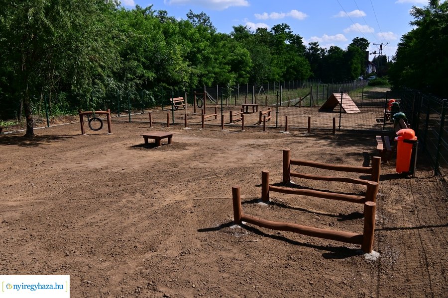 Kutyafuttató a Fürdő utcán