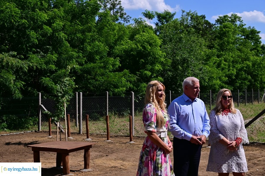 Kutyafuttató a Fürdő utcán