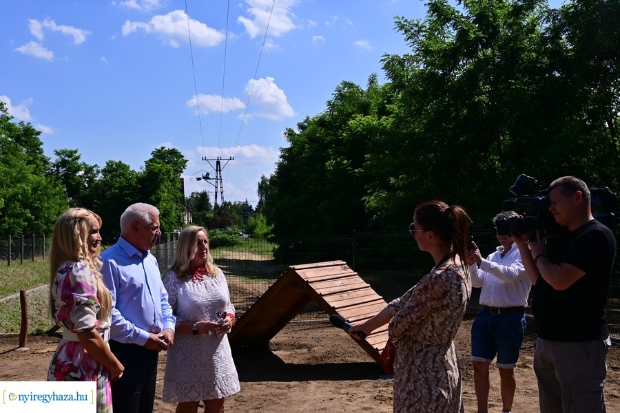 Kutyafuttató a Fürdő utcán