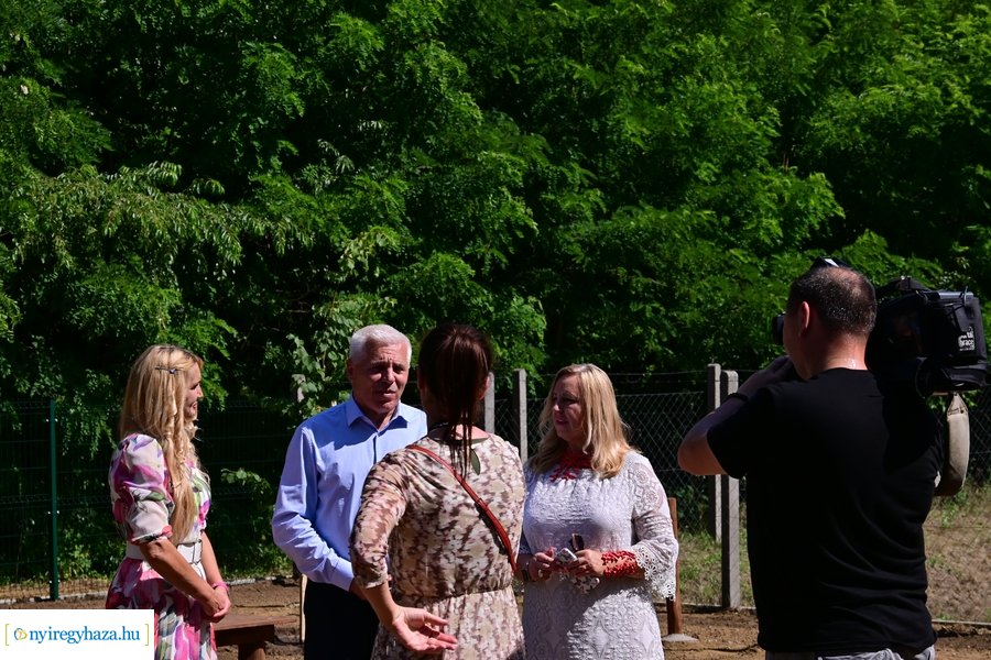 Kutyafuttató a Fürdő utcán