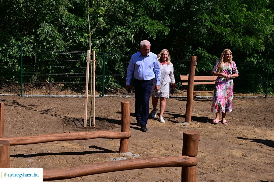 Kutyafuttató a Fürdő utcán