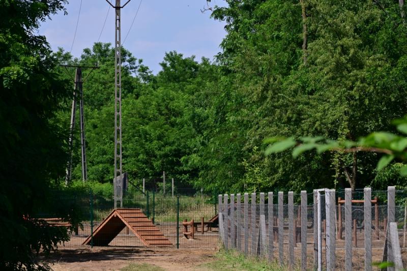 Kutyafuttató a Fürdő utcán
