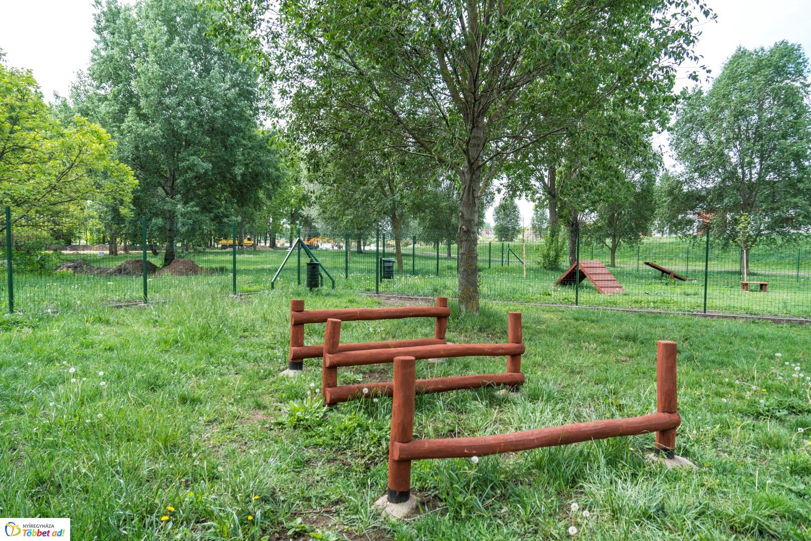 Kutyafuttató átadása a Család utcán