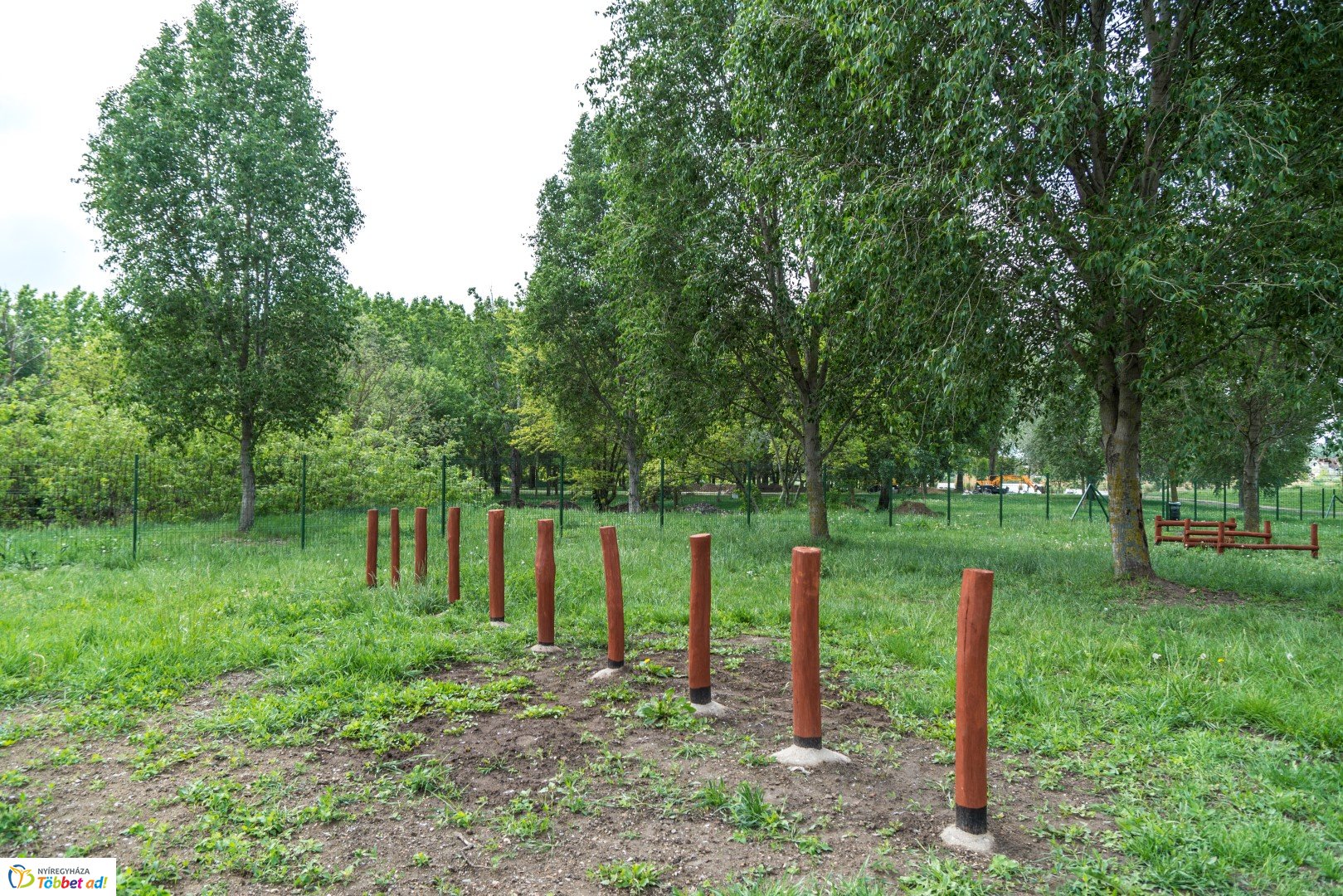 Kutyafuttató átadása a Család utcán