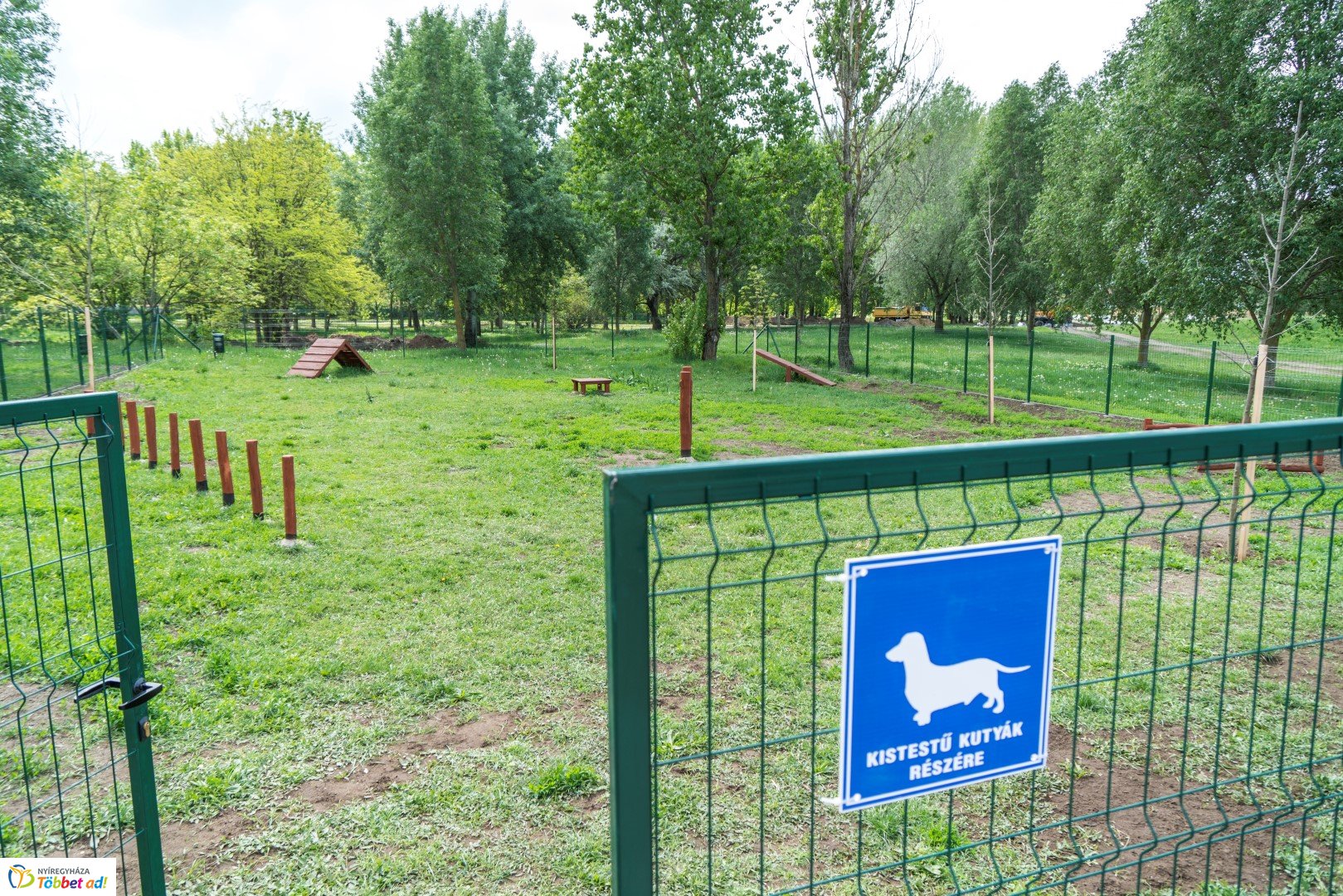 Kutyafuttató átadása a Család utcán