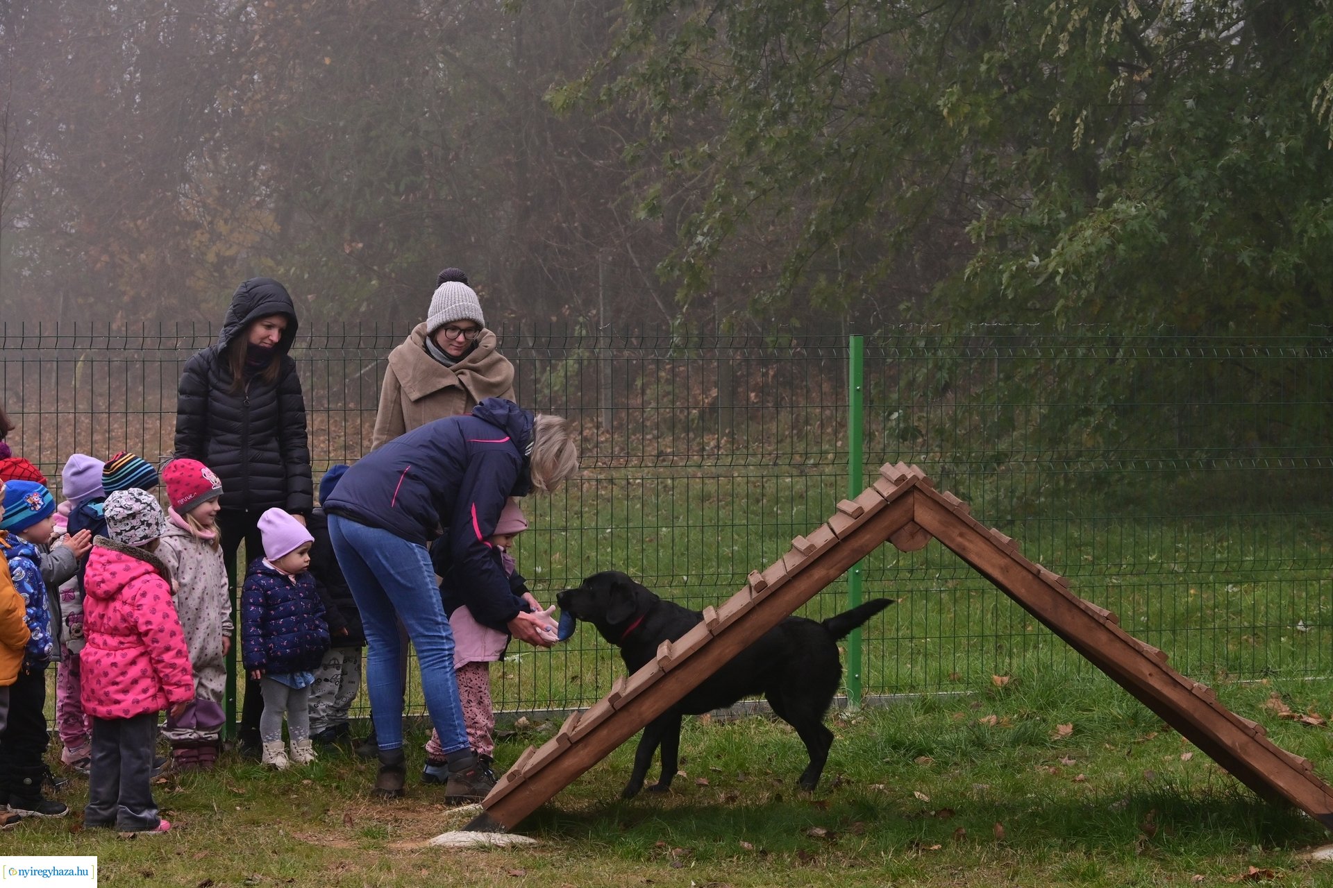 Kutyafuttató Nyírszőlősön 2024