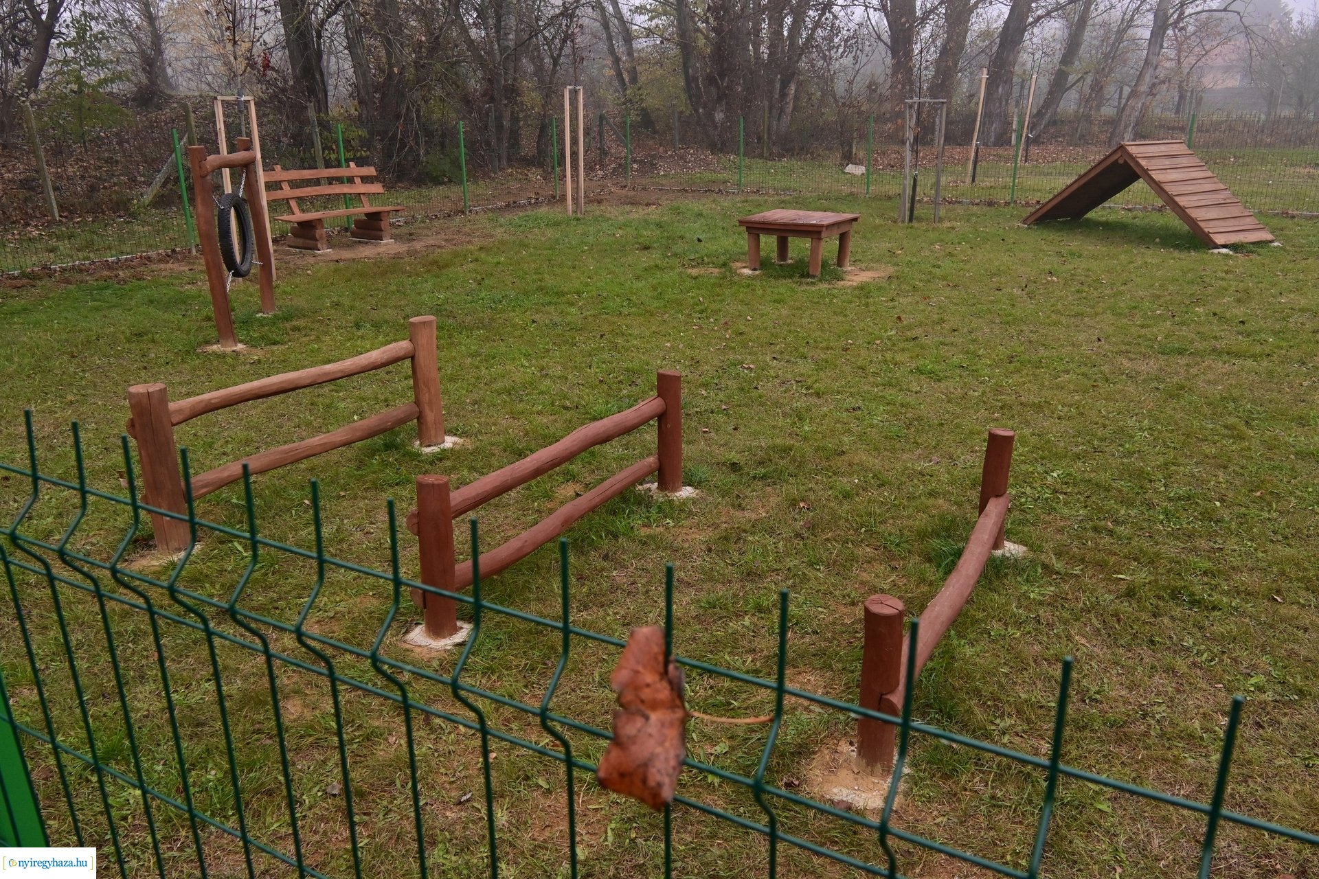 Kutyafuttató Nyírszőlősön 2024