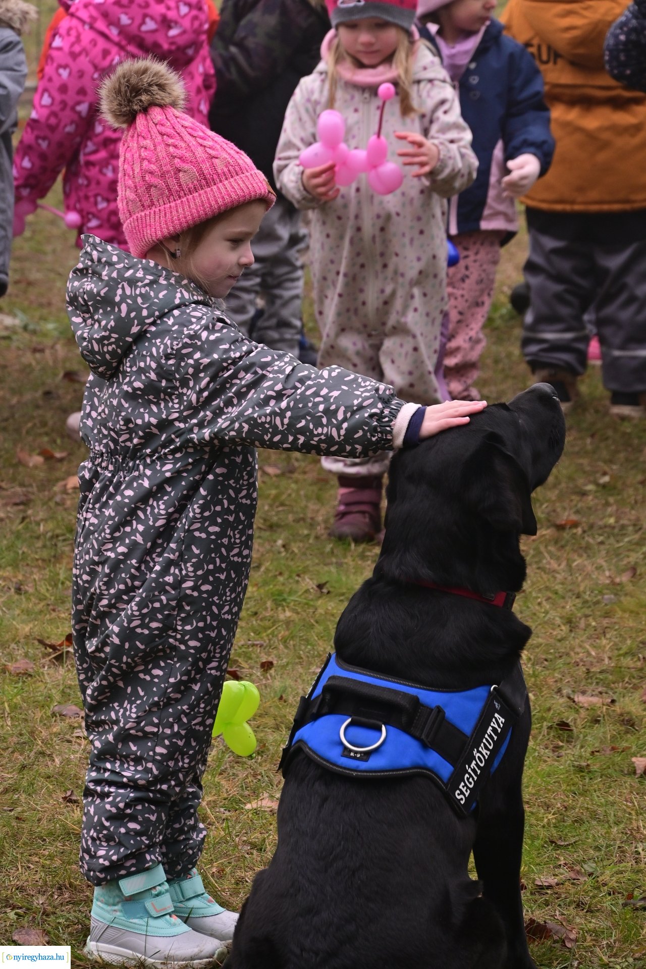 Kutyafuttató Nyírszőlősön 2024