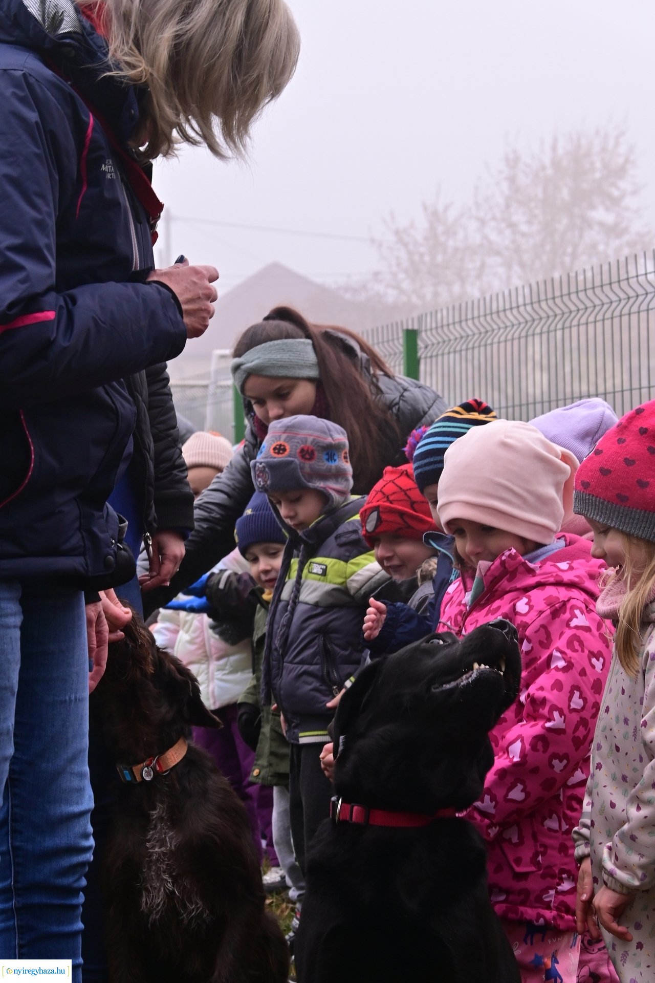 Kutyafuttató Nyírszőlősön 2024