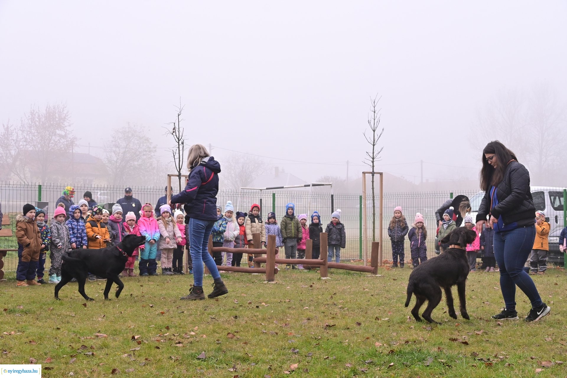 Kutyafuttató Nyírszőlősön 2024