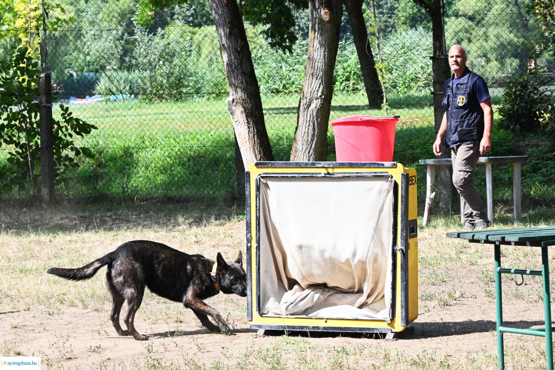 Kutyás rendőrségi bemutató a Kisvakond táborban