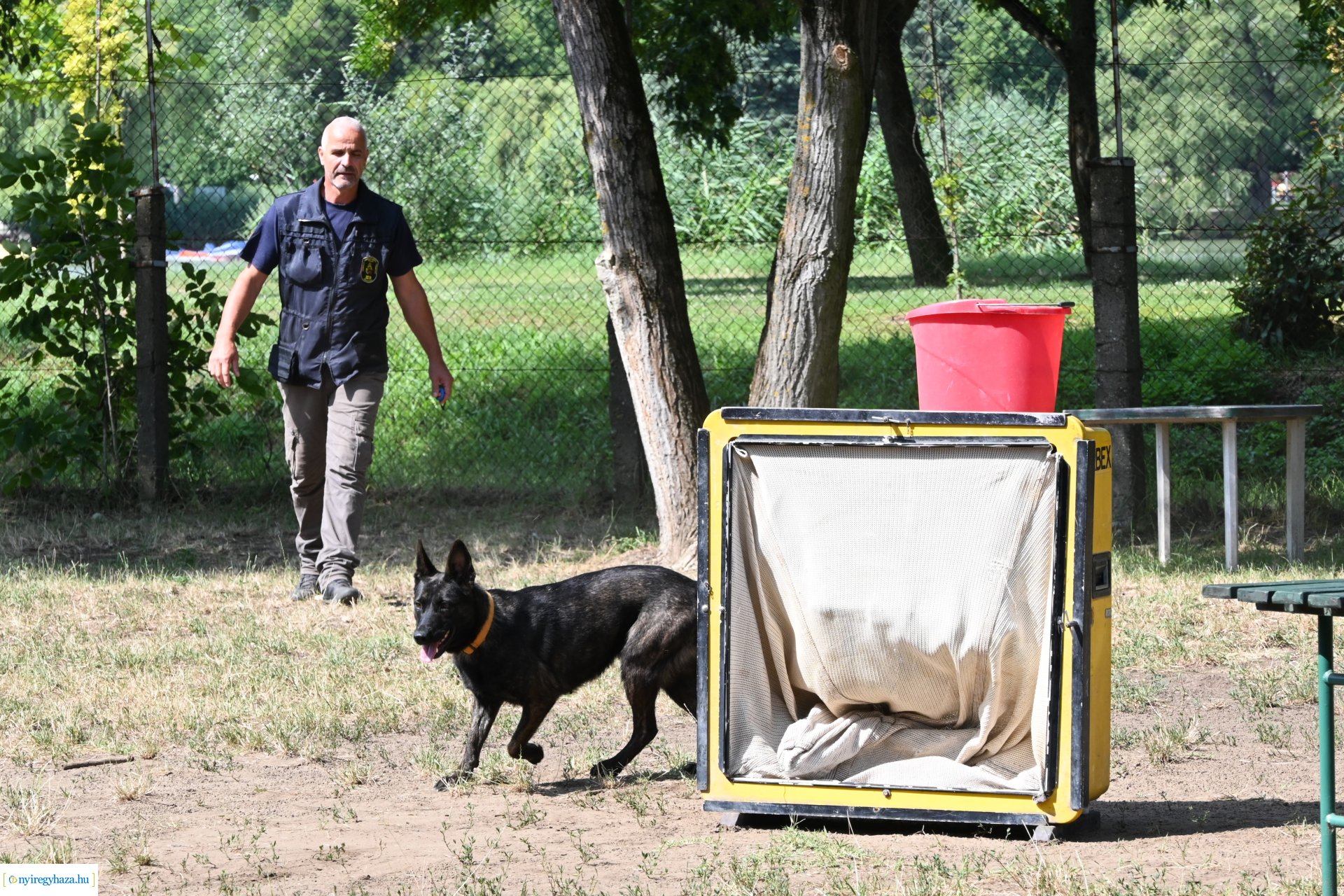 Kutyás rendőrségi bemutató a Kisvakond táborban