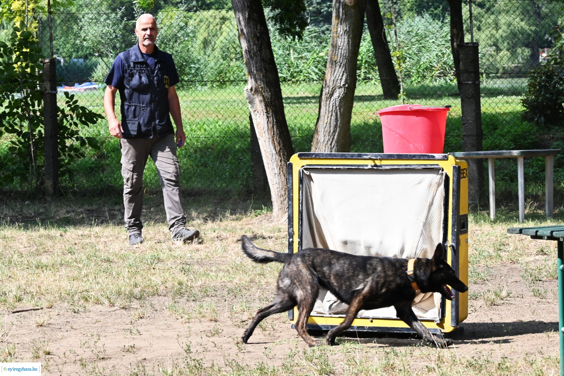 Kutyás rendőrségi bemutató a Kisvakond táborban