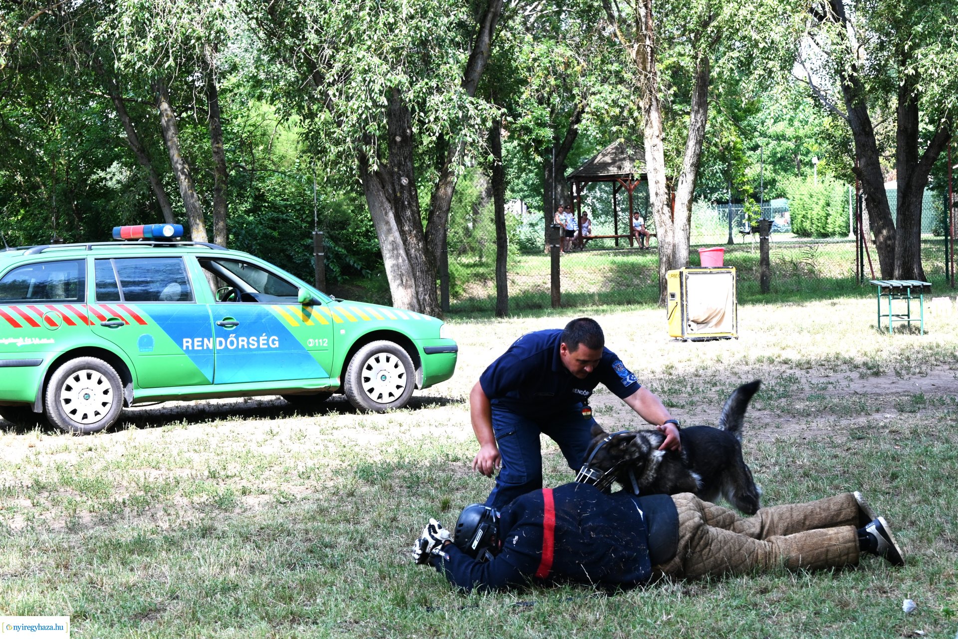 Kutyás rendőrségi bemutató a Kisvakond táborban