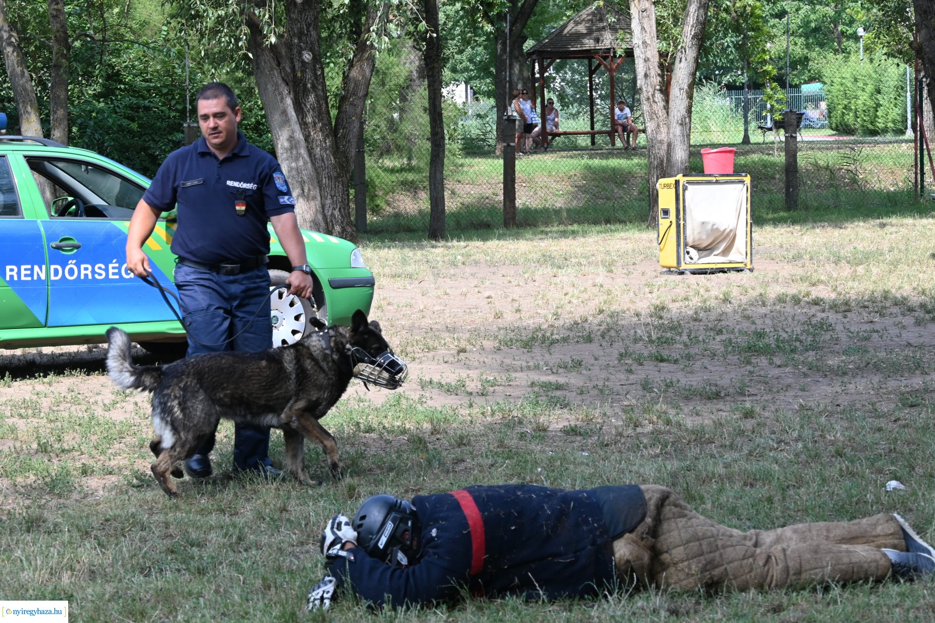 Kutyás rendőrségi bemutató a Kisvakond táborban