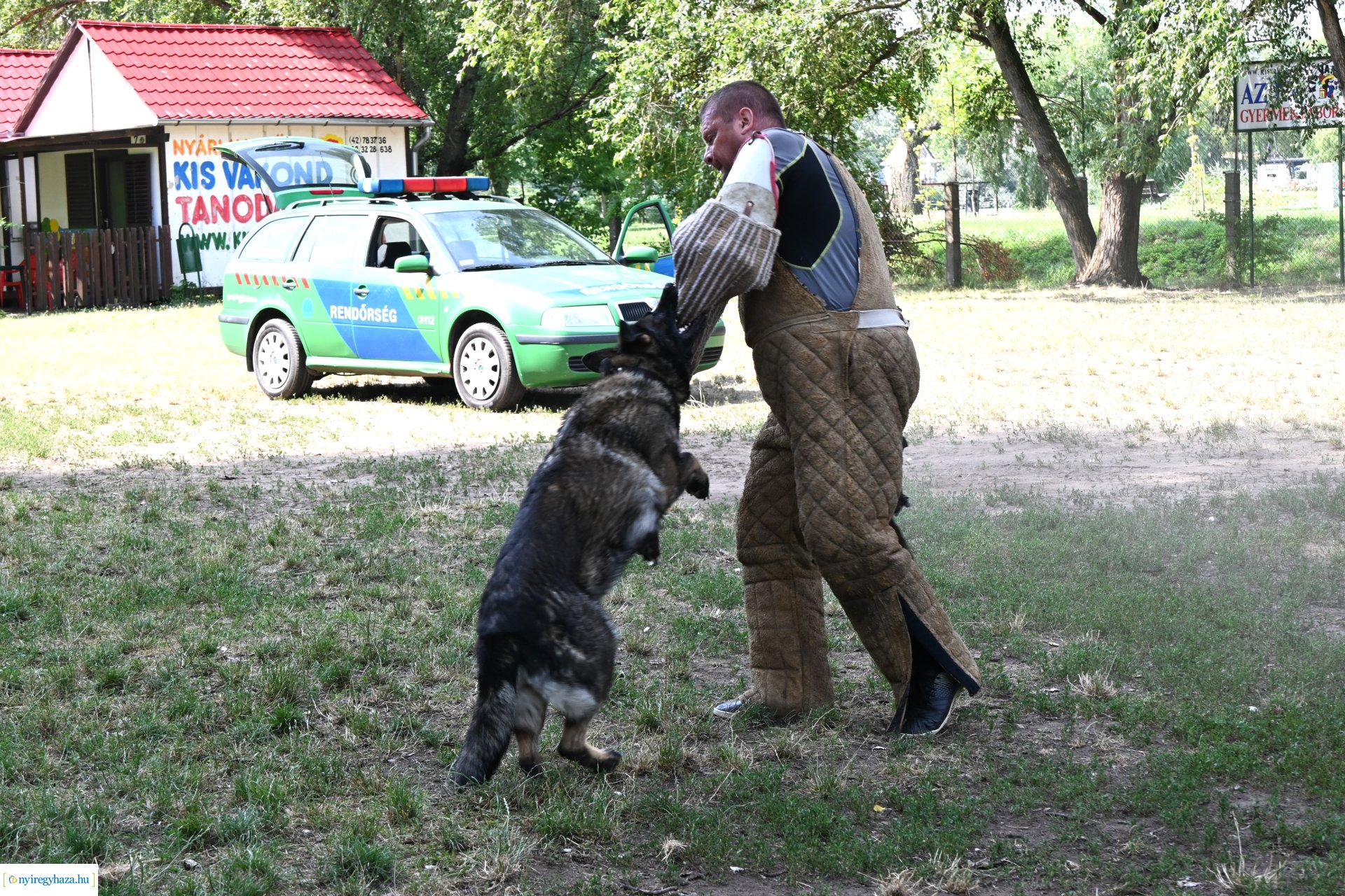 Kutyás rendőrségi bemutató a Kisvakond táborban