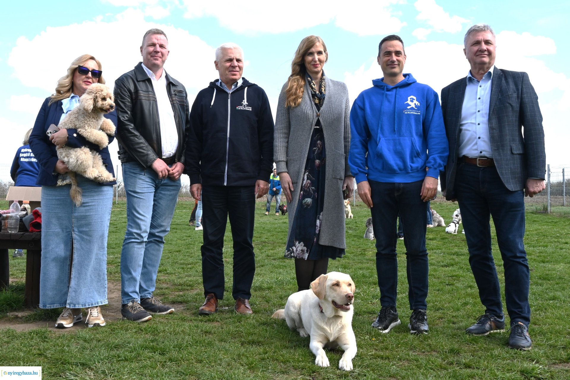 Kutyázz Nyíregyháza! - ingyenes engedelmességi kuyasuli Nyíregyházán