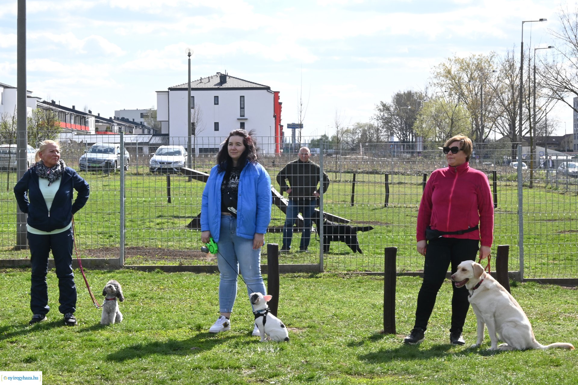 Kutyázz Nyíregyháza! - ingyenes engedelmességi kuyasuli Nyíregyházán