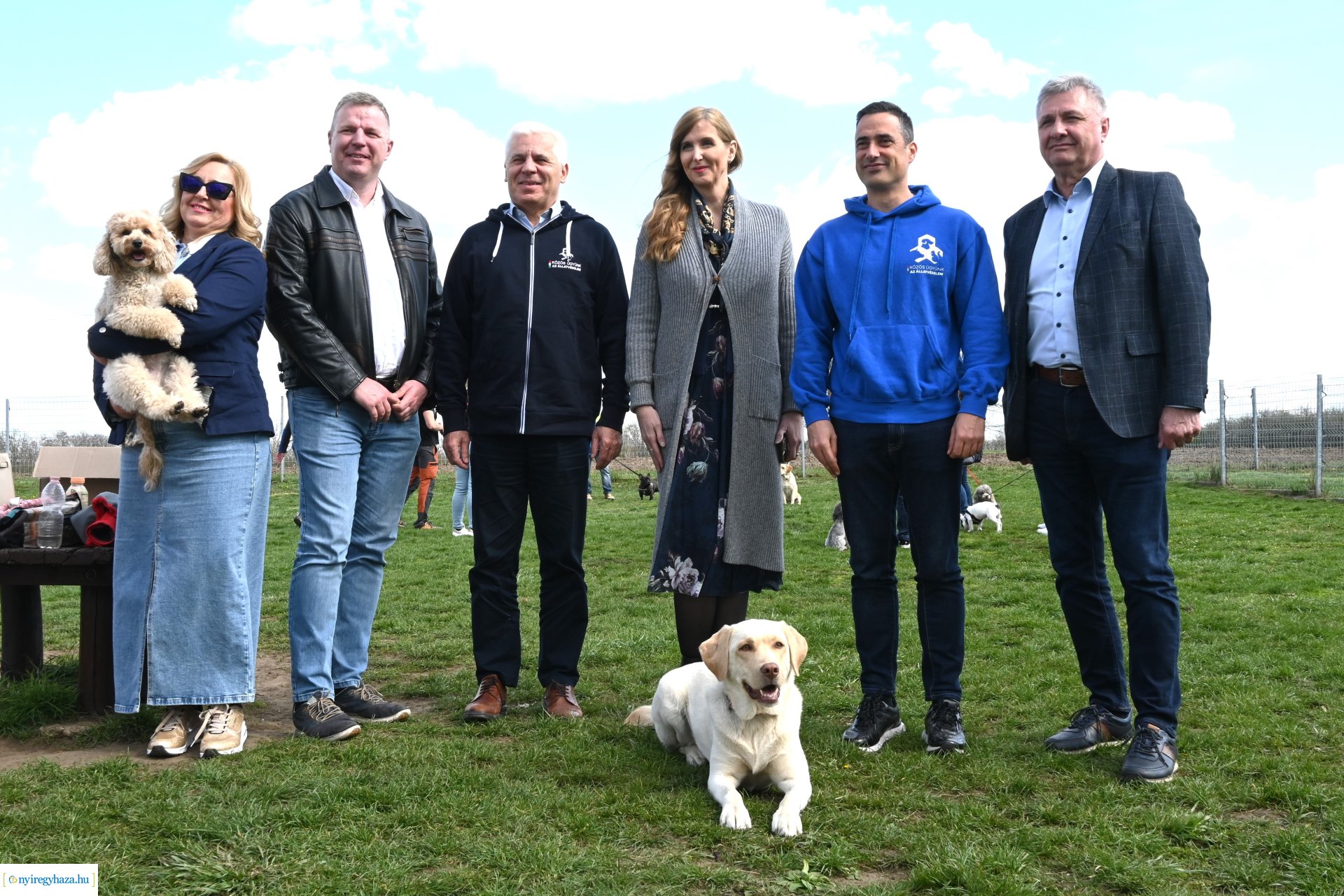 Kutyázz Nyíregyháza! - ingyenes engedelmességi kuyasuli Nyíregyházán