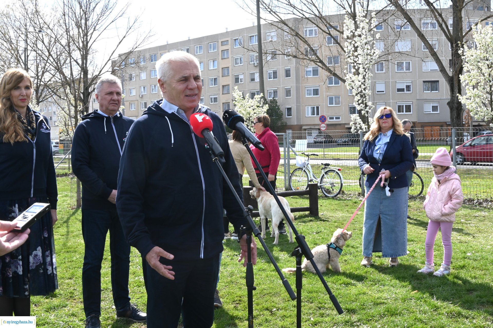 Kutyázz Nyíregyháza! - ingyenes engedelmességi kuyasuli Nyíregyházán