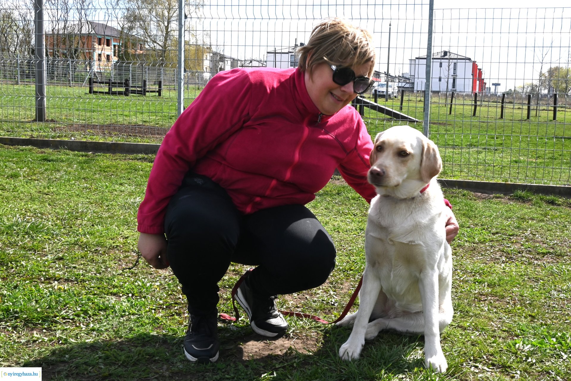 Kutyázz Nyíregyháza! - ingyenes engedelmességi kuyasuli Nyíregyházán