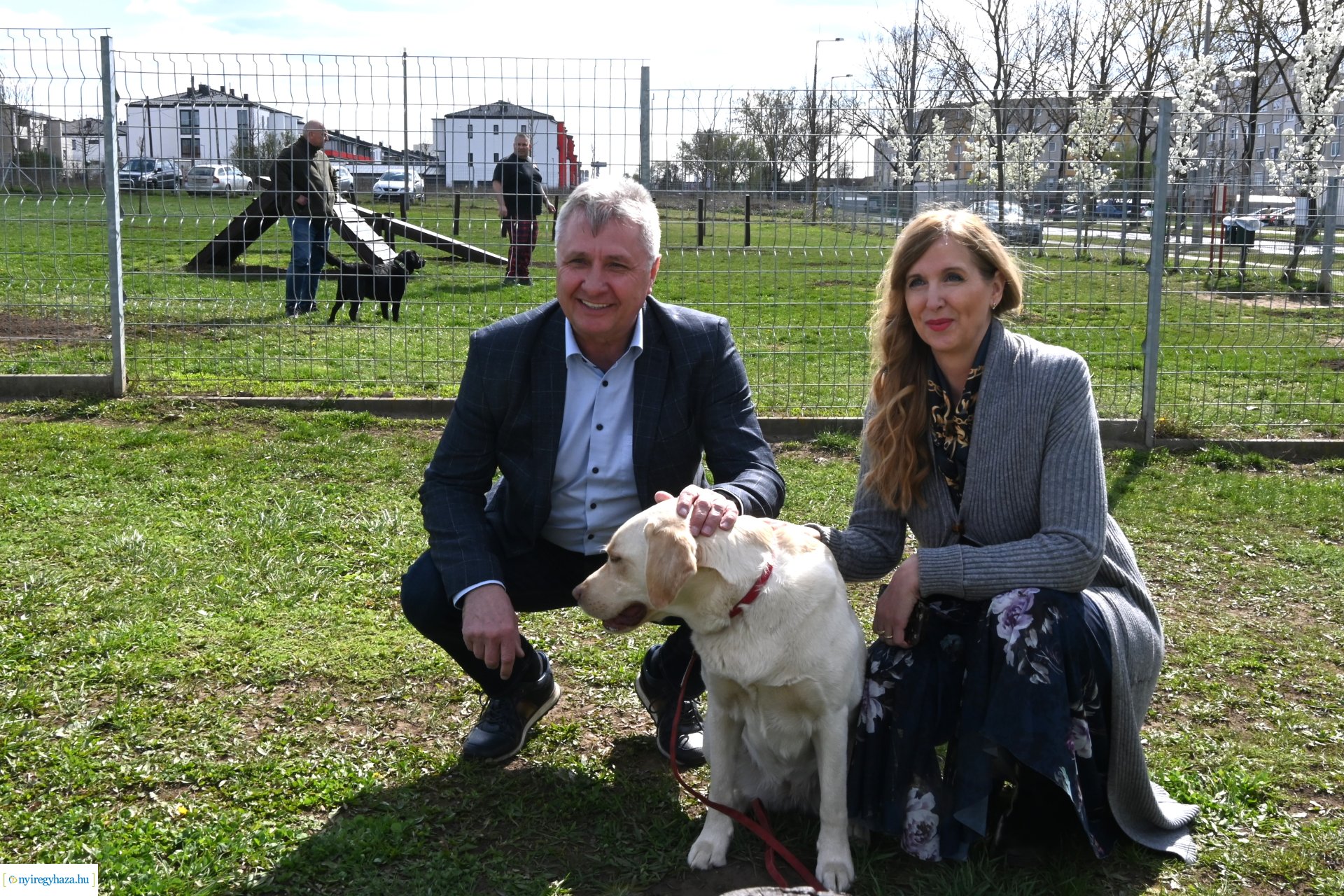 Kutyázz Nyíregyháza! - ingyenes engedelmességi kuyasuli Nyíregyházán